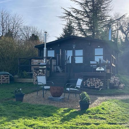 Cosy Cabin In Annie'S Meadow West Meon Buitenkant foto