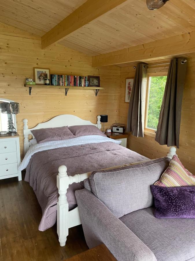 Cosy Cabin In Annie'S Meadow West Meon Buitenkant foto
